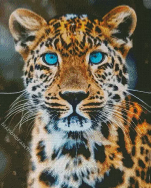 Blue Eyed Leopard Diamond Painting