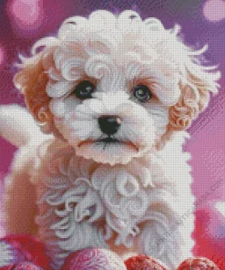 Blue Eyed Maltipoo Diamond Painting