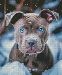 Blue Eyed Staffy Diamond Painting