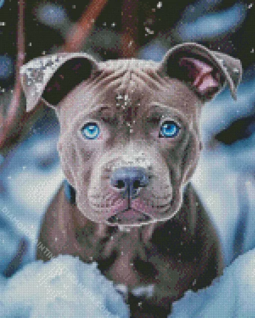 Blue Eyed Staffy Diamond Painting