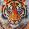 Blue Eyed Tiger Diamond Painting