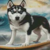 Blue Eyes Husky Surfing Diamond Painting