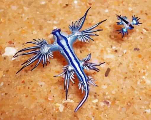 Blue Glaucus Nudibranch Diamond Painting