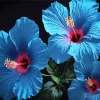 Blue Hawaiian Flowers Diamond Painting