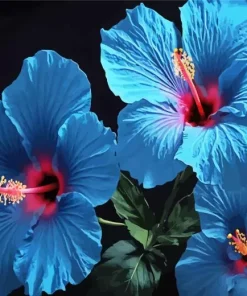 Blue Hawaiian Flowers Diamond Painting