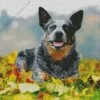 Blue Heeler Pet Diamond Painting