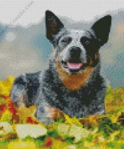 Blue Heeler Pet Diamond Painting