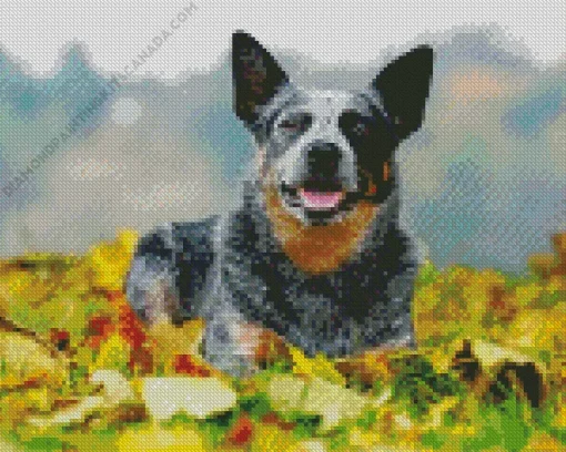 Blue Heeler Pet Diamond Painting