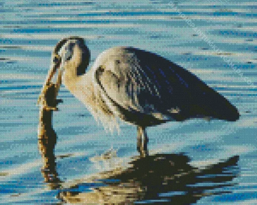 Blue Heron Eating Diamond Painting