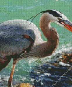 Blue Heron Eating Fish Diamond Painting