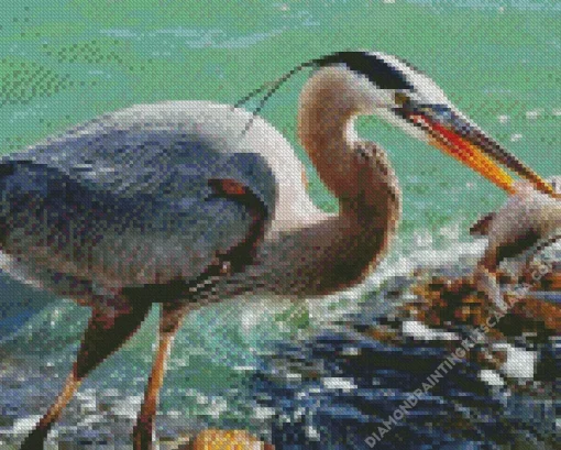 Blue Heron Eating Fish Diamond Painting