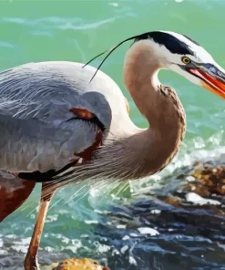 Blue Heron Eating Fish Diamond Painting