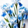 Blue Iris Diamond Painting