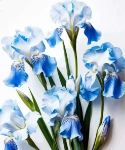 Blue Iris Diamond Painting