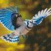 Blue Jay Bird Flying Diamond Painting