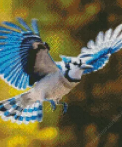 Blue Jay Bird Flying Diamond Painting