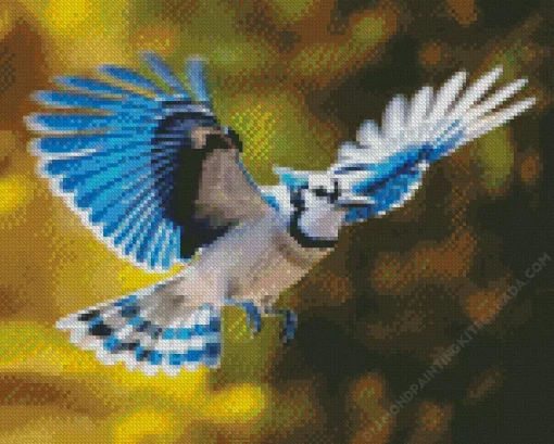 Blue Jay Bird Flying Diamond Painting