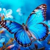 Blue Monarch Butterfly And Flowers Diamond Painting