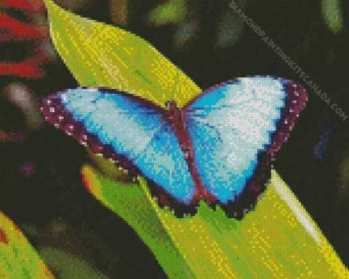 Blue Morpho Butterfly Diamond Painting