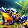 Blue Orange Frog Diamond Painting