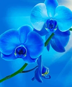 Blue Orchid Diamond Painting