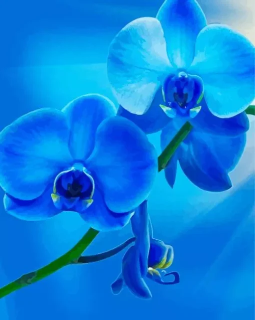 Blue Orchid Diamond Painting