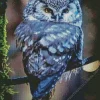 Blue Owl In The Philippines Diamond Painting