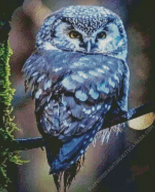 Blue Owl In The Philippines Diamond Painting