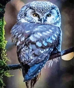 Blue Owl In The Philippines Diamond Painting