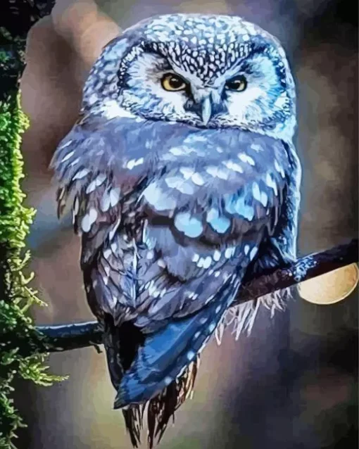 Blue Owl In The Philippines Diamond Painting