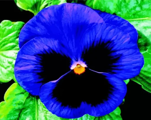 Blue Pansy Flower Diamond Painting