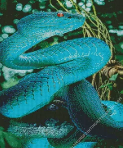 Blue Pit Viper Diamond Painting