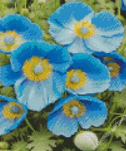 Blue Poppies Flowers Diamond Painting