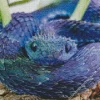 Blue Spiny Bush Viper Diamond Painting