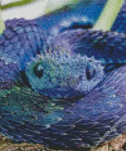 Blue Spiny Bush Viper Diamond Painting