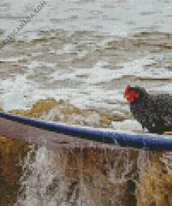 Chicken Surfing Diamond Painting