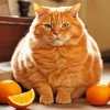 Fat Orange Cat Diamond Painting