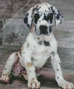 Fawnequin Great Dane Puppy Diamond Painting