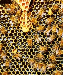 Honey Bee Hive Diamond Painting