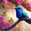 Hummingbird Diamond Painting