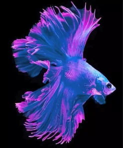 Purple Fish Diamond Painting