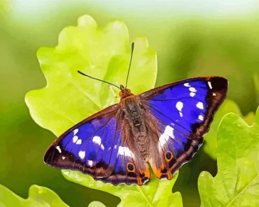 Purple Monarch Butterfly Diamond Painting