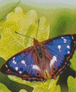 Purple Monarch Butterfly Diamond Painting