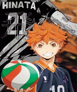 Shoyo Hinata Diamond Painting