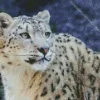 Snow Leopard Diamond Painting