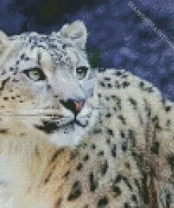 Snow Leopard Diamond Painting