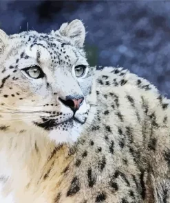 Snow Leopard Diamond Painting