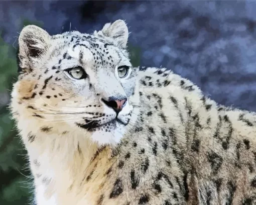 Snow Leopard Diamond Painting