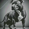 Staffordshire Terrier Diamond Painting