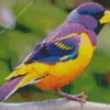 Yellow And Purple Bird Diamond Painting